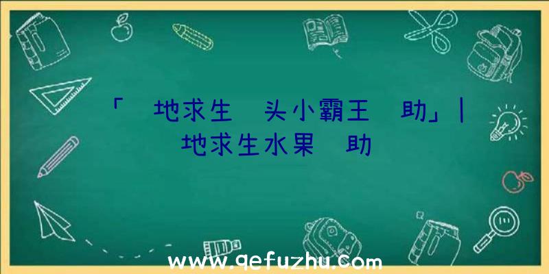 「绝地求生铁头小霸王辅助」|绝地求生水果辅助